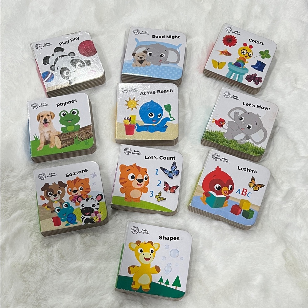 Baby Basics Board Book Set - Colorful Early Learning Cards (Multicolor)